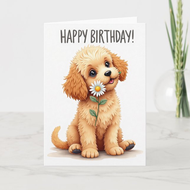 Innocent Dog Birthday Card (Front)