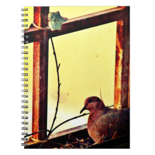 Innocent Dove Notebook