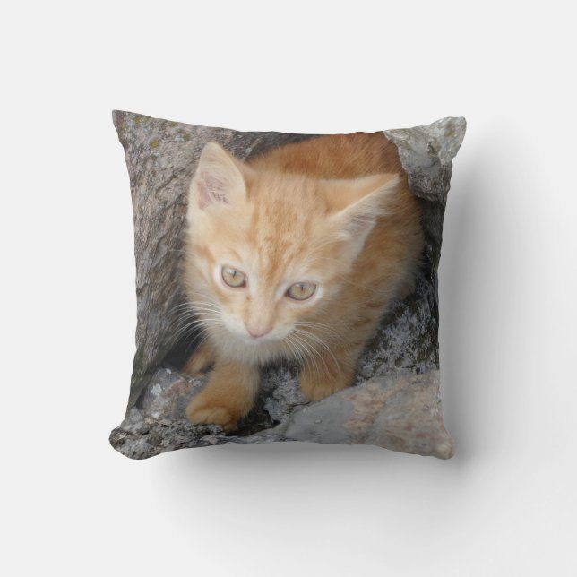 Innocent Kitten Throw Pillow (Front)