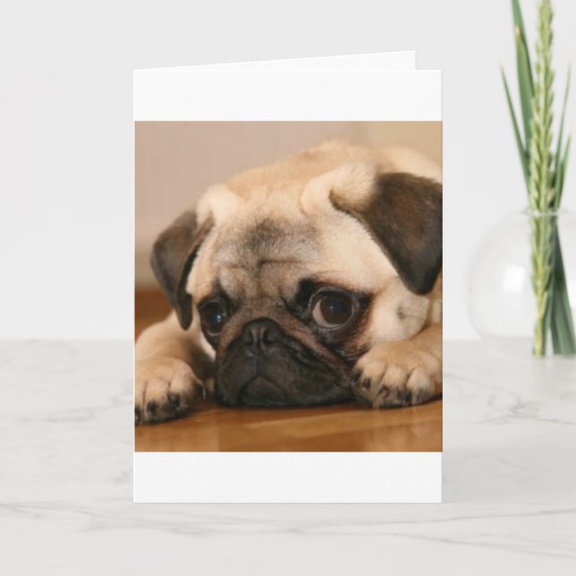 " Innocent " Pug Card (Front)