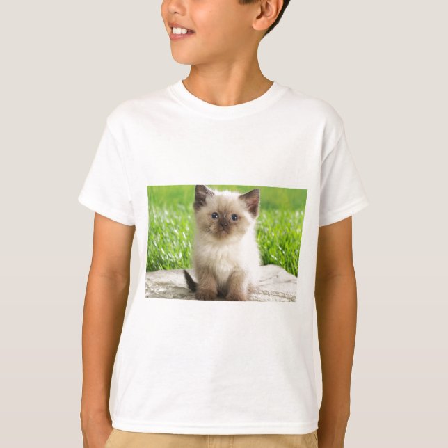 Innocent Ragdoll Kitten T-Shirt (Front)