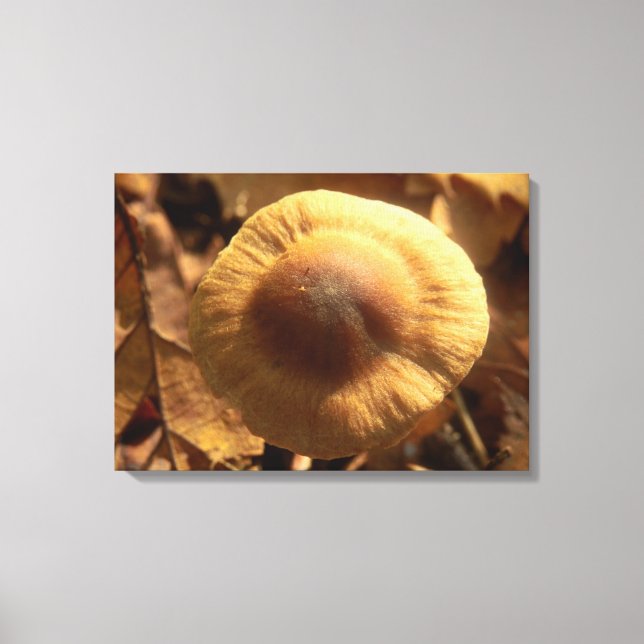 Inocybe napipes Mushroom Canvas Print (Front)