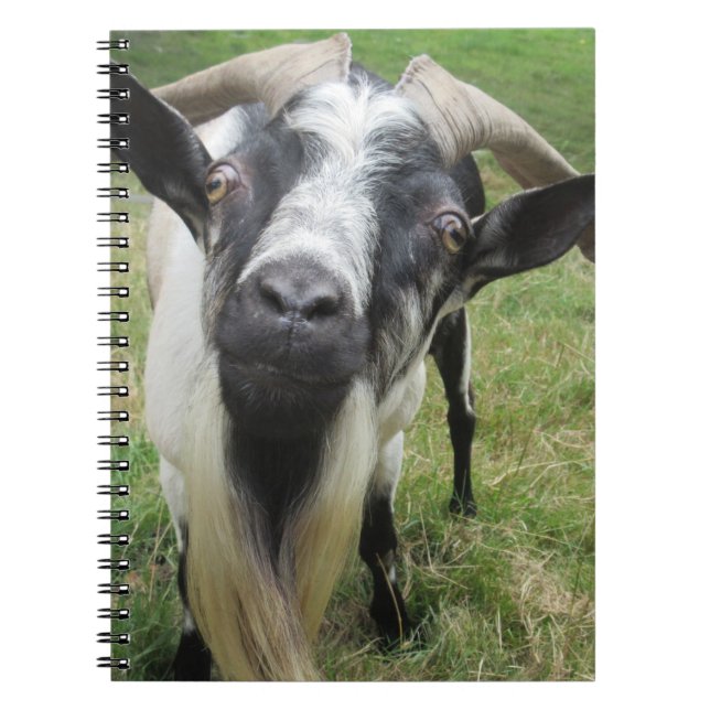 Inquiring Minds Notebook (Front)