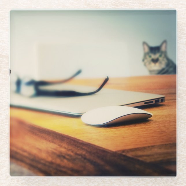 Inquisitive Cat - Glass Coaster (Front)