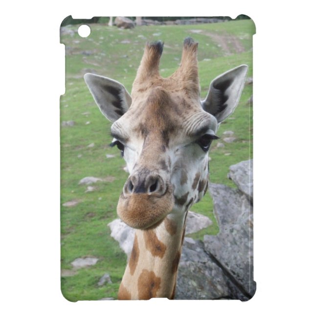 Inquisitive Giraffe iPad Mini Cover (Back)