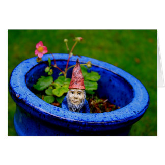 Inquisitive Gnome Cards