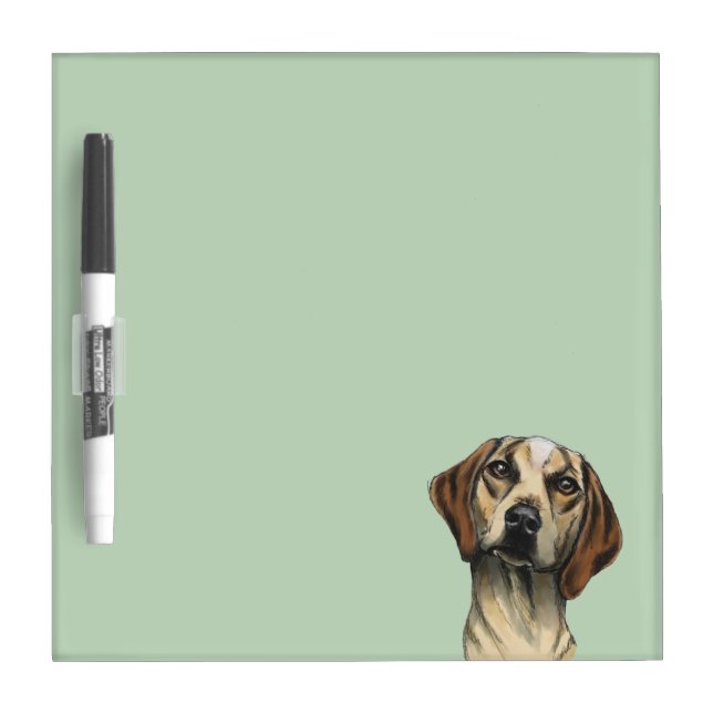 Inquisitive Hound Dog Drawing Dry Erase Board (Front)