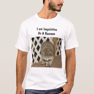 Inquisitive Raccoon Men's T-Shirt