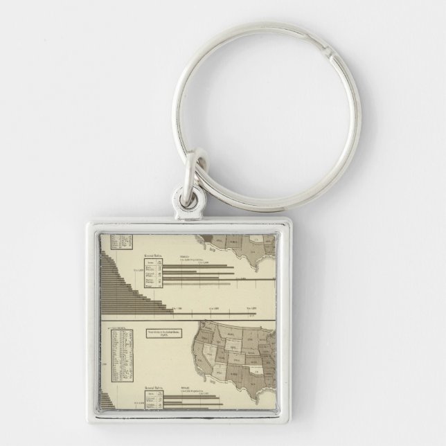 Insane, Idiotic, Blind statistical map Keychain (Front)