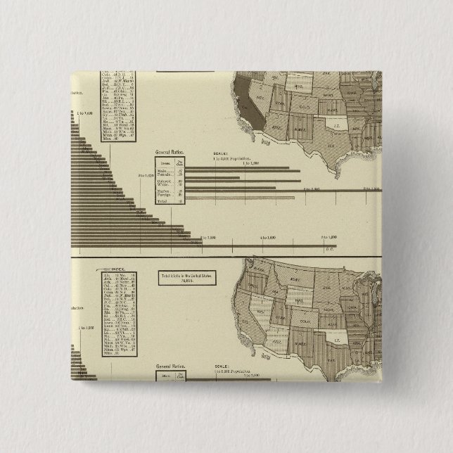 Insane, Idiotic, Blind statistical map Pinback Button (Front)