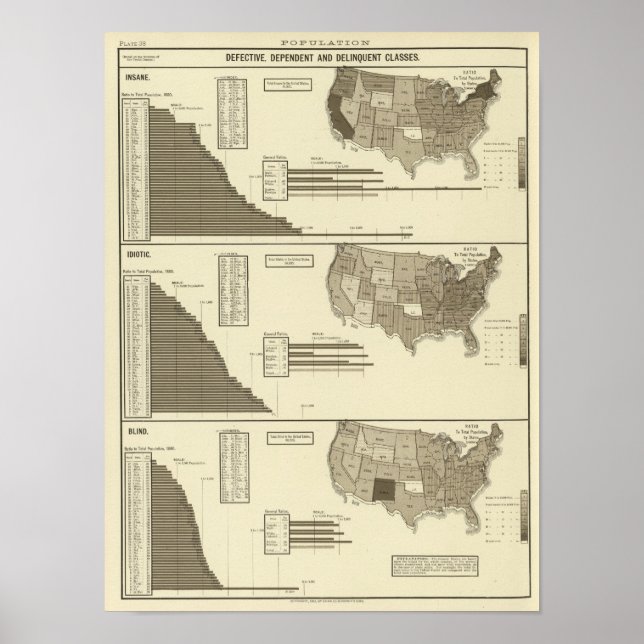 Insane, Idiotic, Blind statistical map Poster (Front)