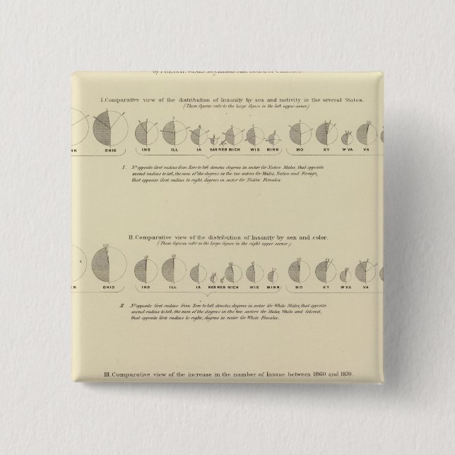 Insane, Statistical US Lithograph 1870 Pinback Button (Front)