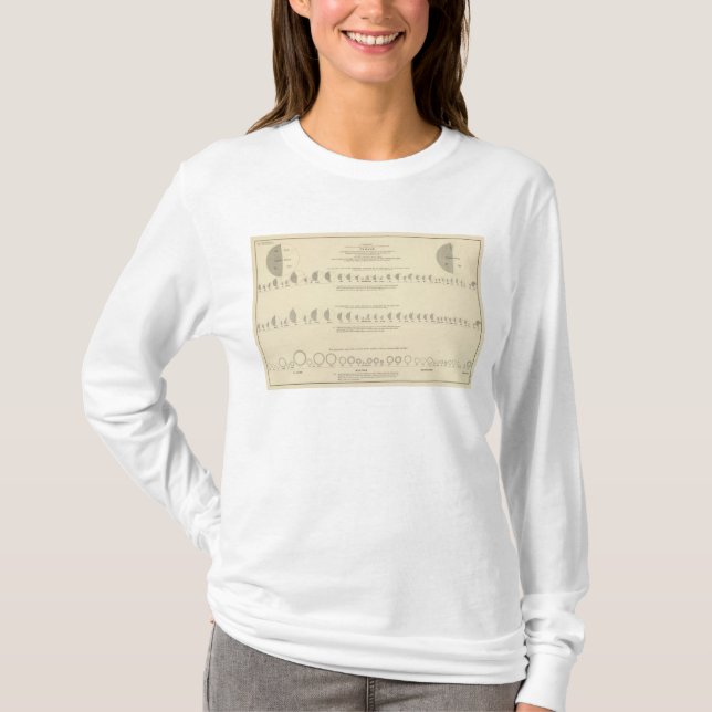 Insane, Statistical US Lithograph 1870 T-Shirt (Front)