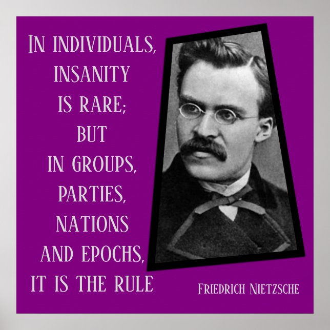 Insanity is the Rule Nietzche Poster (Front)