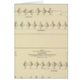 Insanity, Statistical US Lithograph (Front)