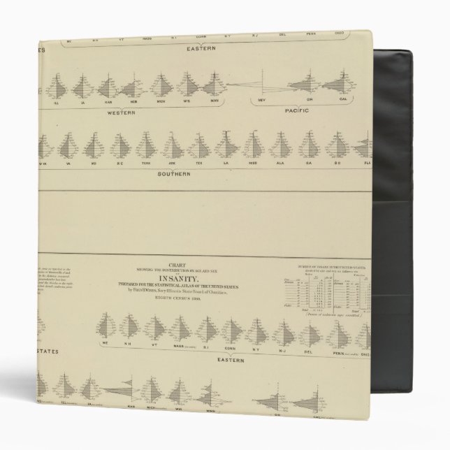 Insanity, Statistical US Lithograph 3 Ring Binder (Front/Inside)