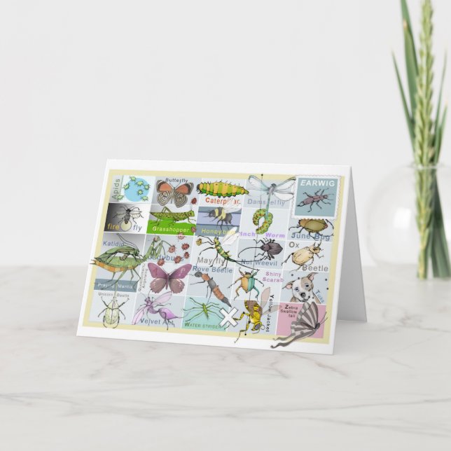 Insect Alphabet Card (Front)