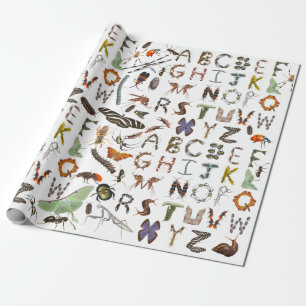Insect and Bug Alphabet - Creepy Crawlies for Kids Wrapping Paper