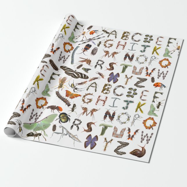 Insect and Bug Alphabet - Creepy Crawlies for Kids Wrapping Paper (Unrolled)