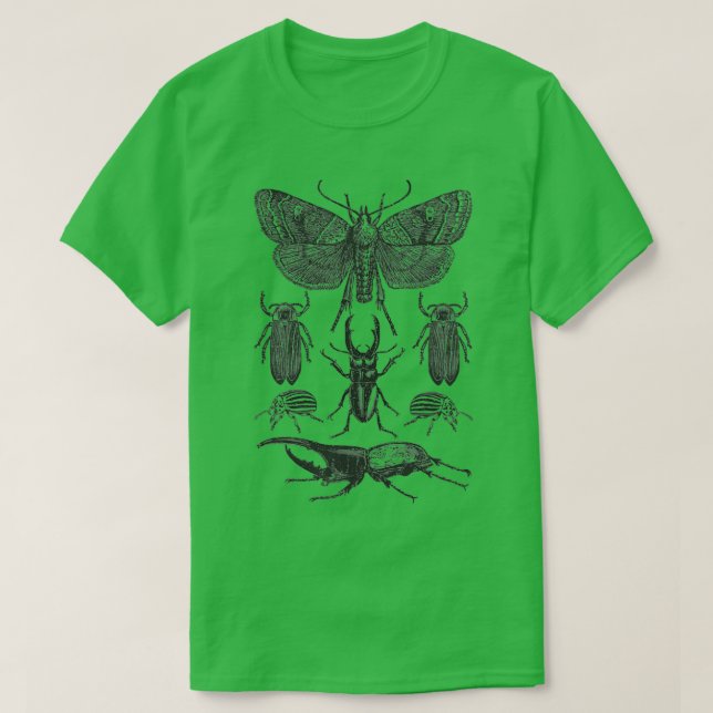 Insect Bug Collection Shirt Moth Stag Beetle Cicad (Design Front)