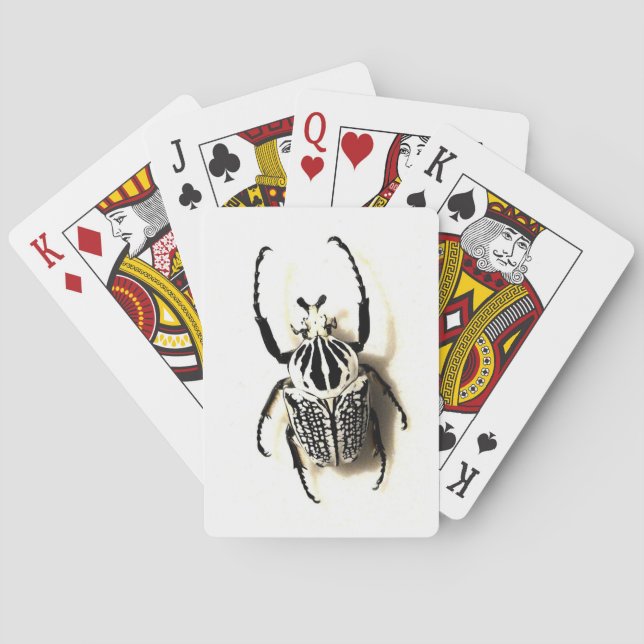 Insect card deck (Back)