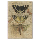 Insect Collage No.501