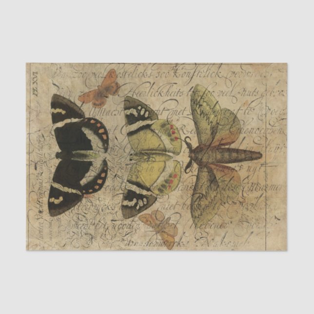 Insect Collage No.501 Tissue Paper (Front)