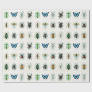 Insect collection watercolor paintings bug art wrapping paper