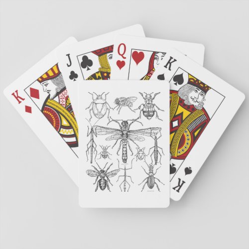 Insect Design Playing Cards