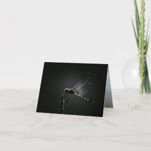 Insect - Dragonfly Wings Card