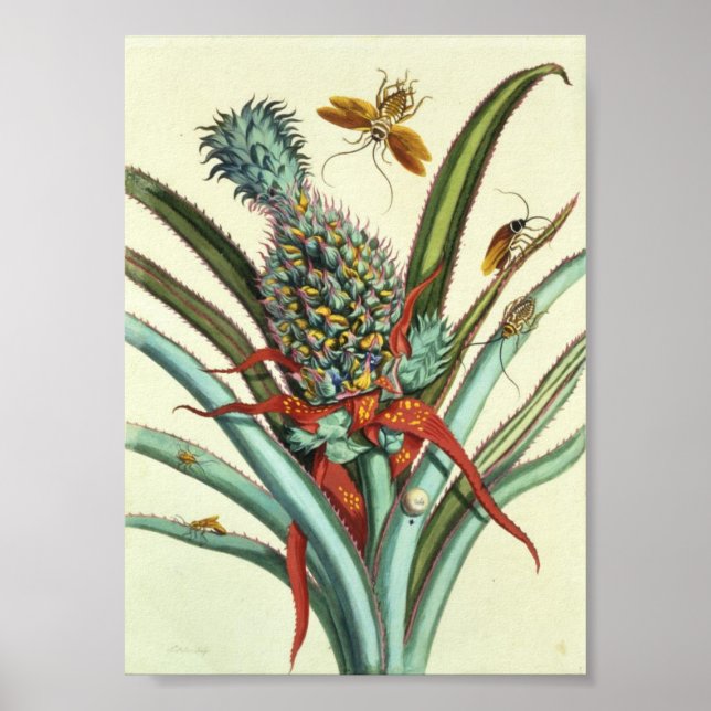 Insect Generations Plate 1 Poster (Front)