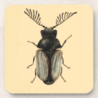 Insect Lover Art: Cool Beetle Beverage Coaster
