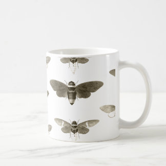Insect Lover Mug - Vintage Cicada Illustration