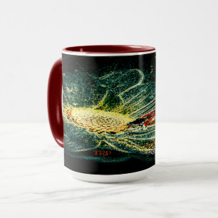 Insect Models: Ladybug Life 01-03 Mug