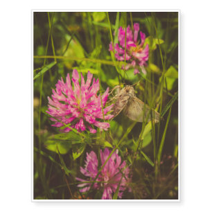 Insect on a pink flower macro temporary tattoos
