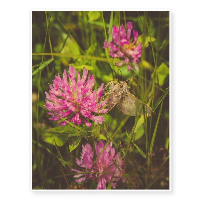 Insect on a pink flower macro temporary tattoos (Front)