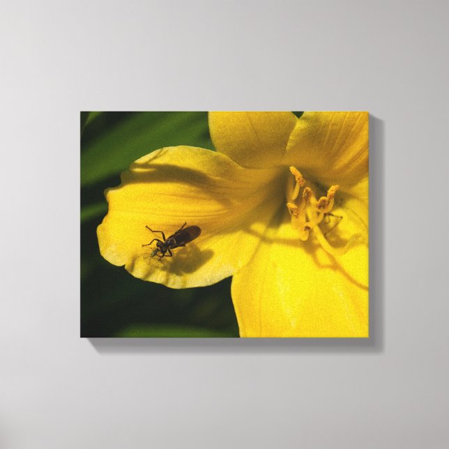 Insect on a yellow flower canvas print (Front)