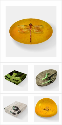 Insect Paper Weights