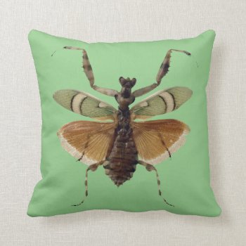 Insect Pillow Green by OlenaD at Zazzle