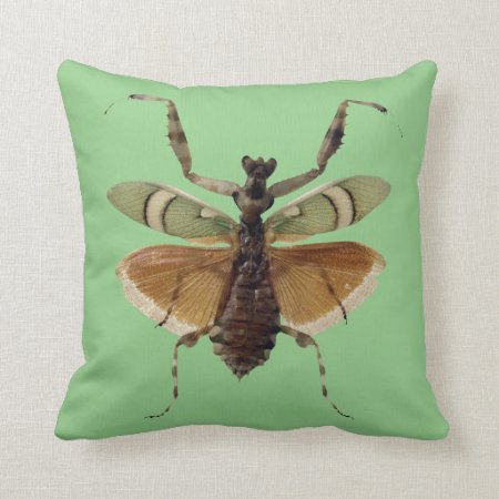 Insect Pillow Green