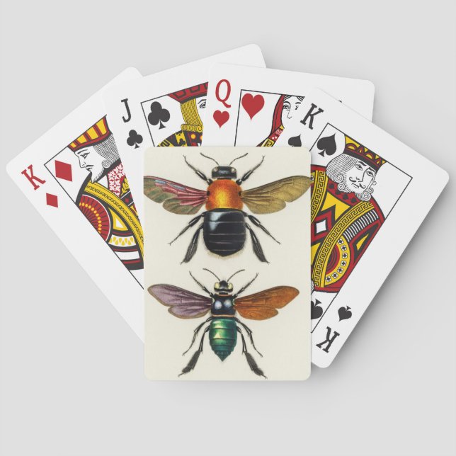 Insect vintage illustrated poker cards (Back)