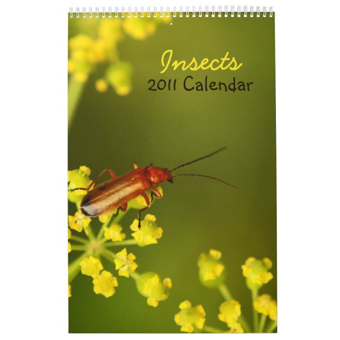 Insects 2011 Calendar