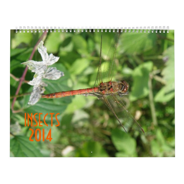 Insects 2014 Calendar | Zazzle.com