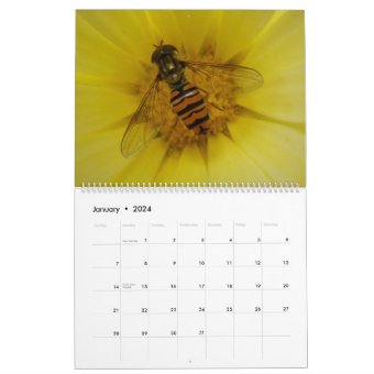 Insects 2014 Calendar | Zazzle