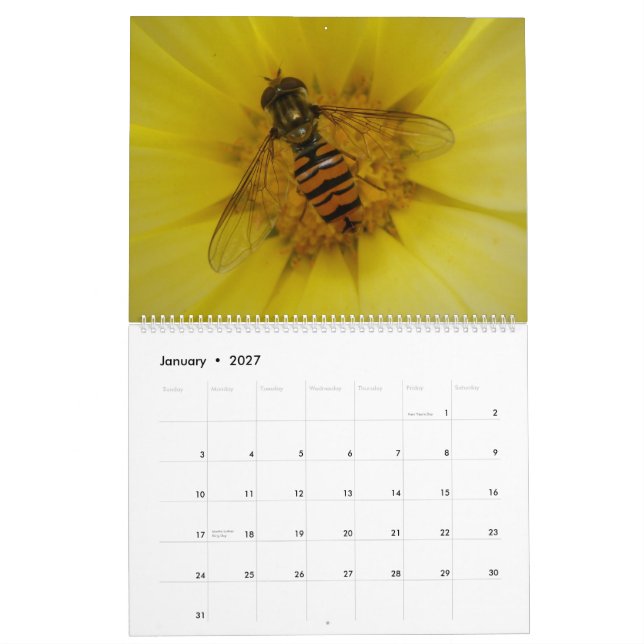 Insects 2015 Calendar (Jan 2027)