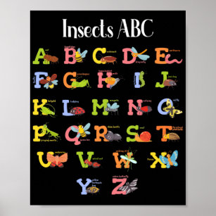 Sardfxul Pre K Learning Posters Set of 2 ABC Alphabet Poster Chart