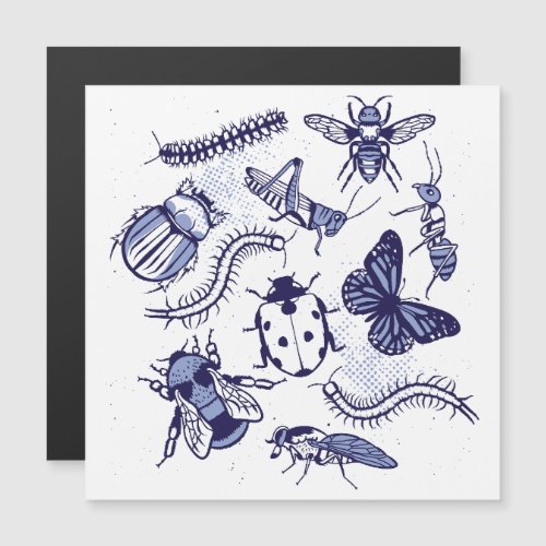 Insects and animals design