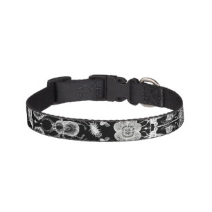 Insects and Bugs Pet Collar