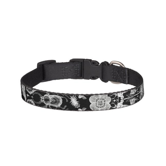Insects and Bugs Pet Collar (Front)