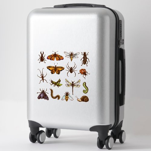 Insects and Caterpillars Sticker